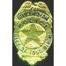 LONG BEACH, CA POLICE DEPARTMENT POLICEWOMAN BADGE PIN